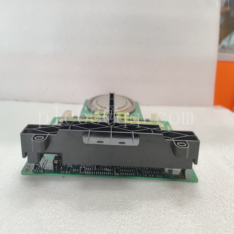 5SHX2645L0004.赖志平.20221129_170410 (13).jpg