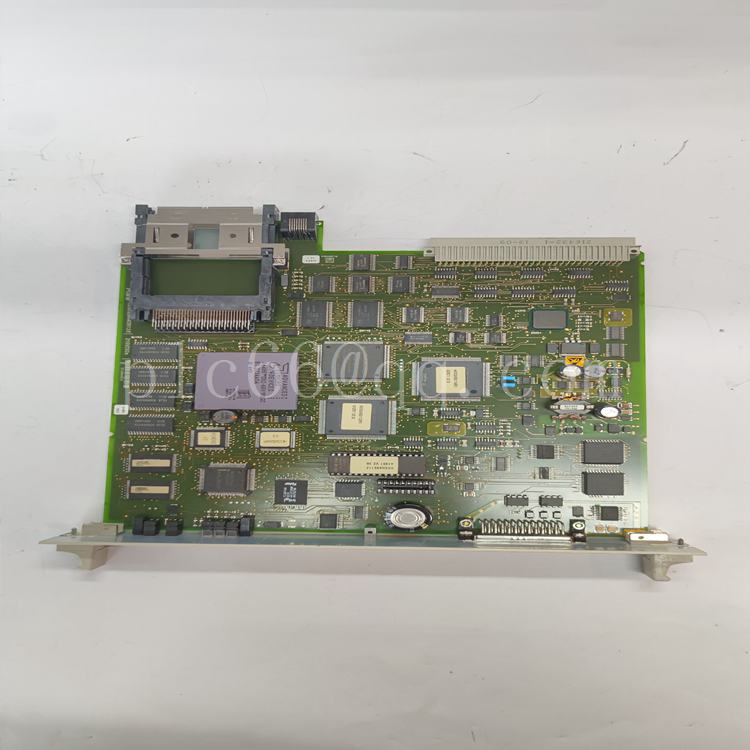 216VC62A.戴晓婷.20230510_154204 (9).jpg