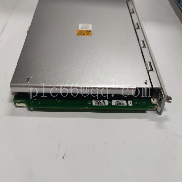 350022-01-01-00.袁翠竹.20230419_144137 (7).jpg