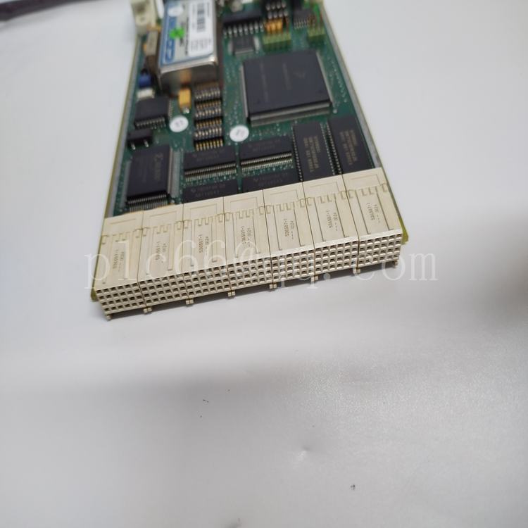 CI547.刘锦玉.20230520 (1).jpg