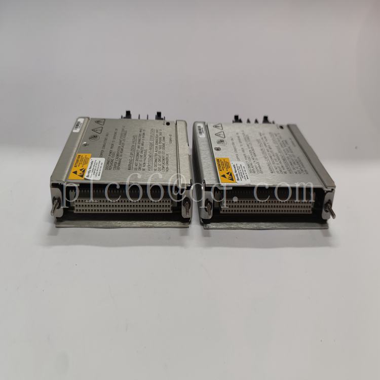 106M1081-01.蓝艳萍.20230422_174328 (35).jpg