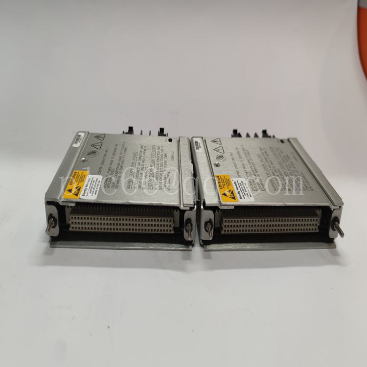 106M1081-01.蓝艳萍.20230422_174328 (47).jpg