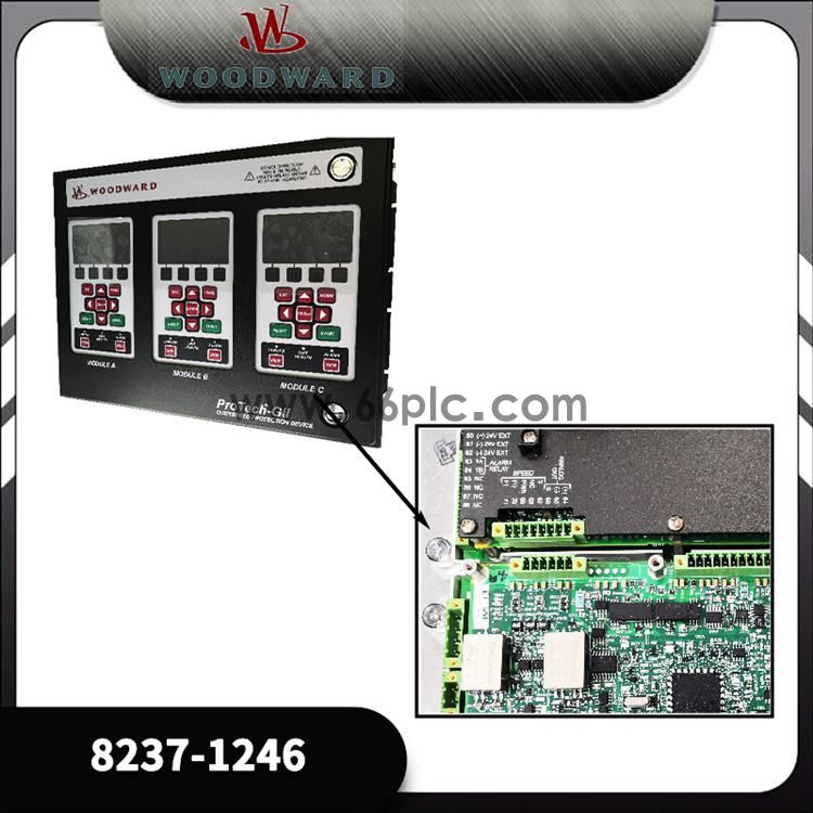 WOODWORD 8237-1246.1.jpg