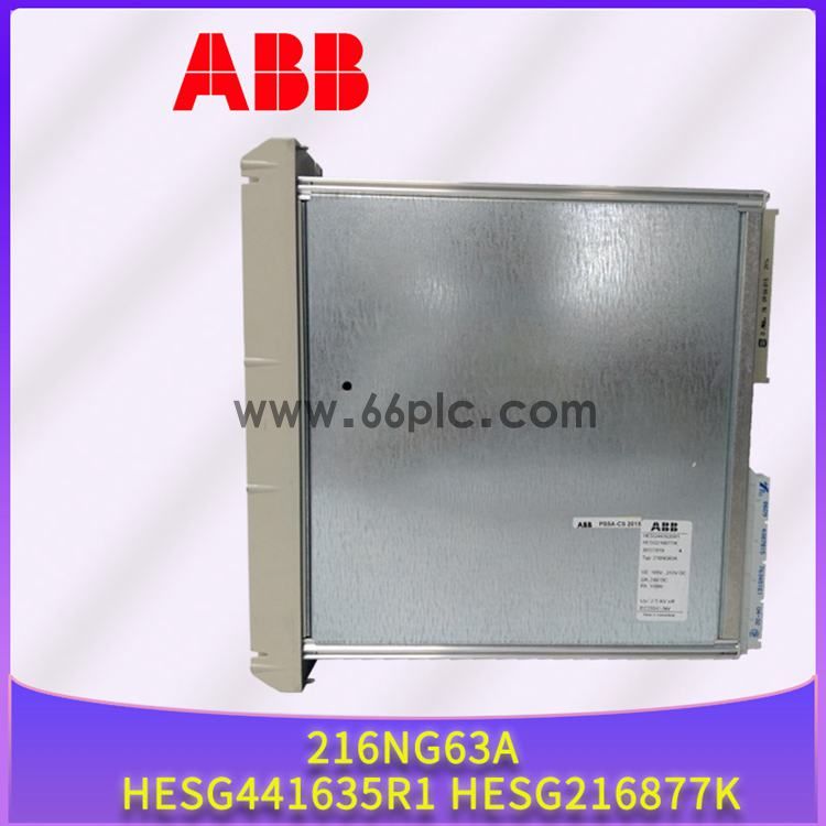 ABB-216NG63A-HESG441635R1-HESG216877K-(2).jpg