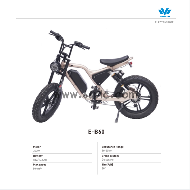 E-B60