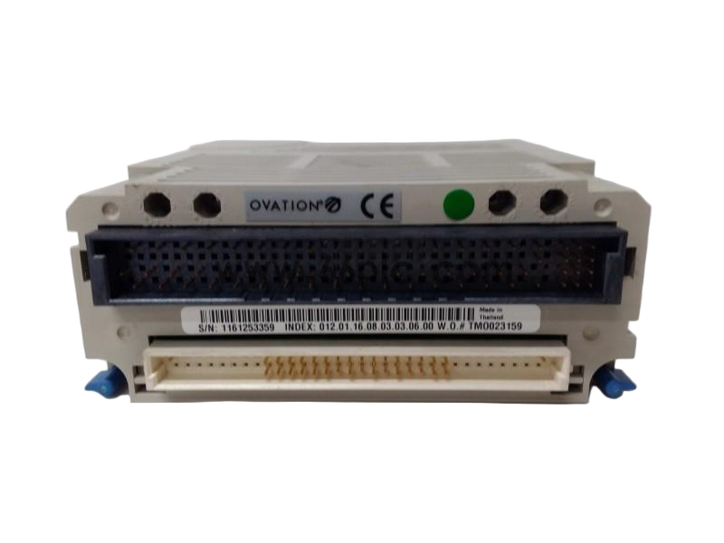 1C31203G01 新款 (4).png