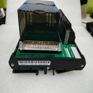 输入模块 FOXBORO FCM100E