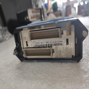 输入输出模块 FOXBORO IPM2-P0904HA