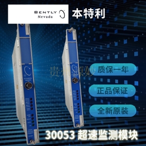 Bently Nevada 31000, 32000 Specification