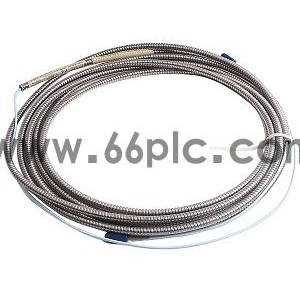  Bently Nevada 330930-065-02-00 NSv 系列延伸
