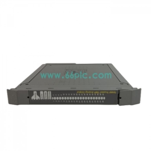 ICS TRIPLEX T8480C Trusted TMR 40路模拟量输出模